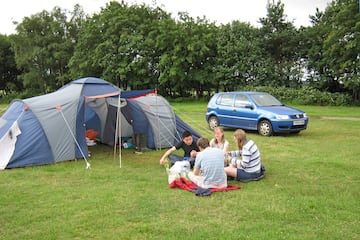 Holmsley Camping in the Forest Holmsley Camping in the Forest
