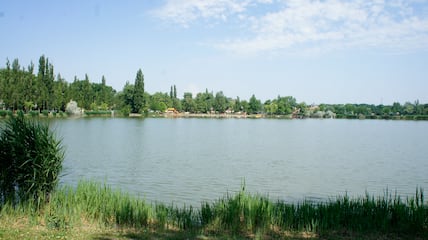 Camping Igrice Camping Igrice