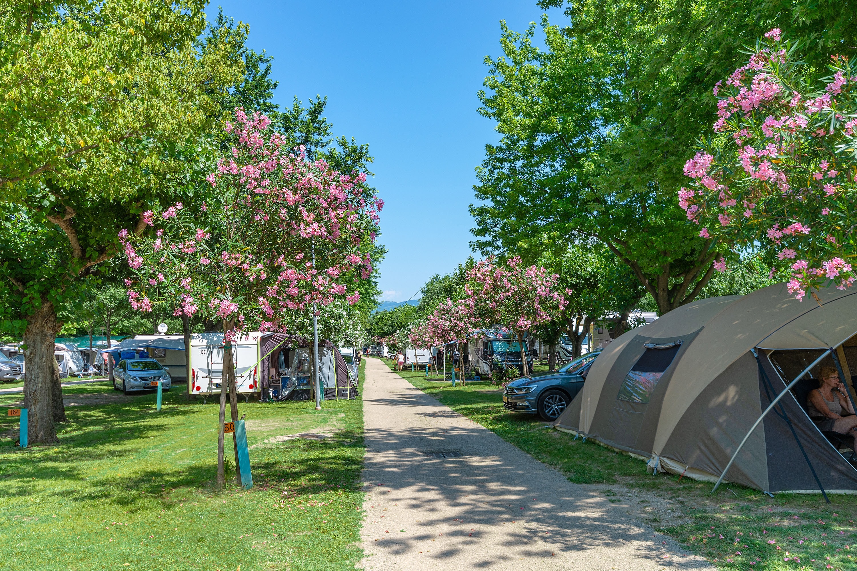 crivit zelt 4 personen Crivit Familienzelt Verdunkelt, für bis zu 5 Personen Zelt –  Camper-Forum-Münsterland main image 1