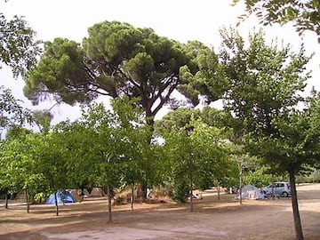 Camping Osuna Camping Osuna