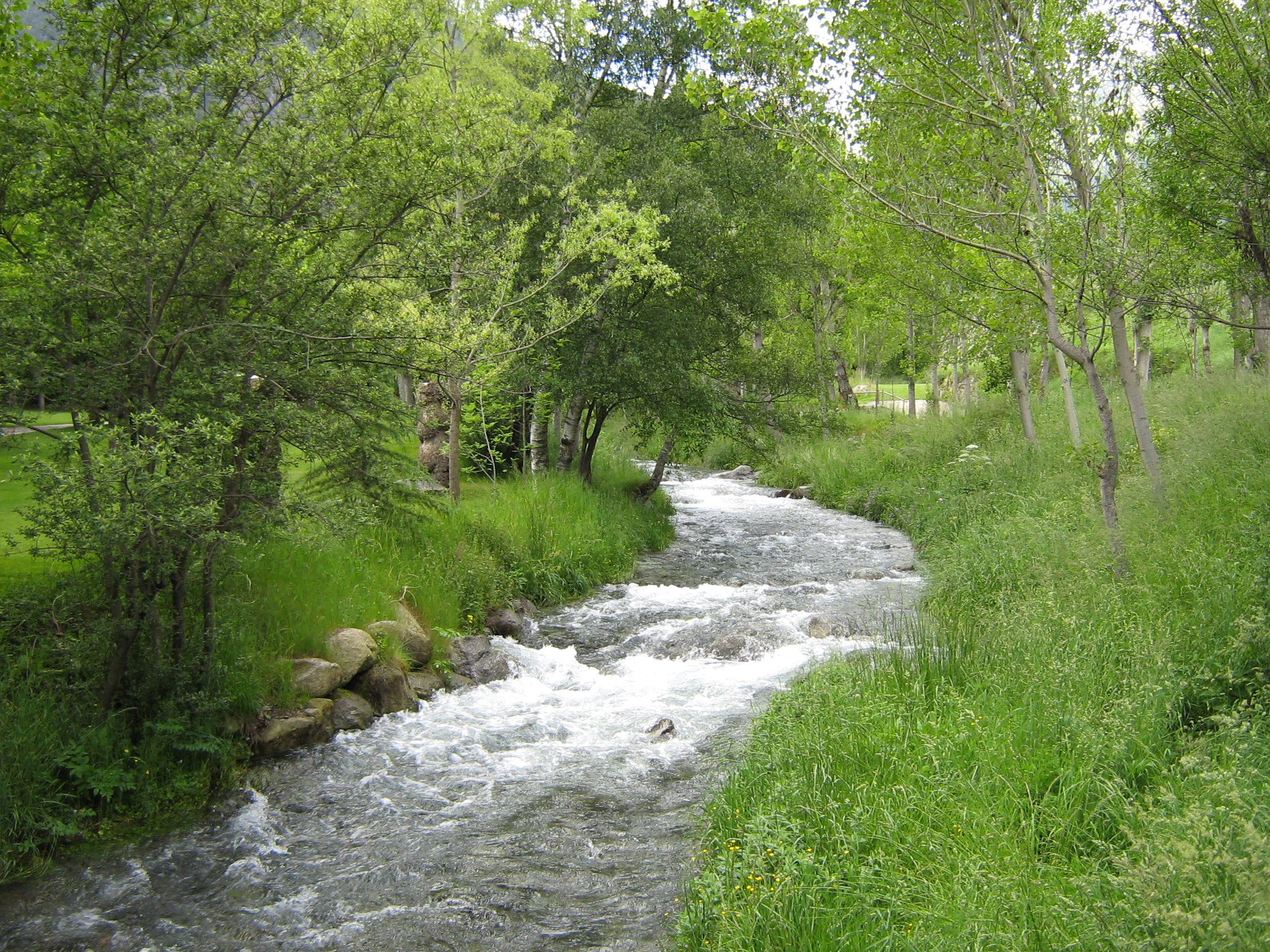 Camping Sol i Neu — 5