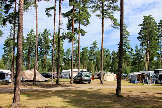 Campsite photo 1