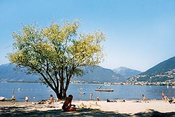 Camping Lago Maggiore Camping Lago Maggiore
