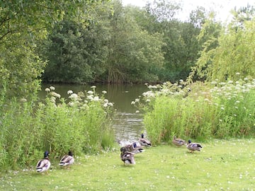 Broadmeadow Caravan Park Broadmeadow Caravan Park