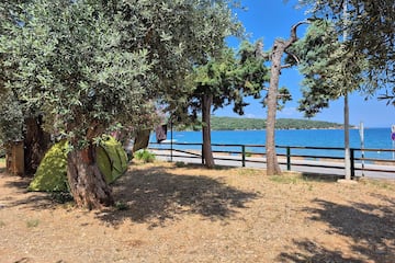 Camping Olizon Camping Olizon