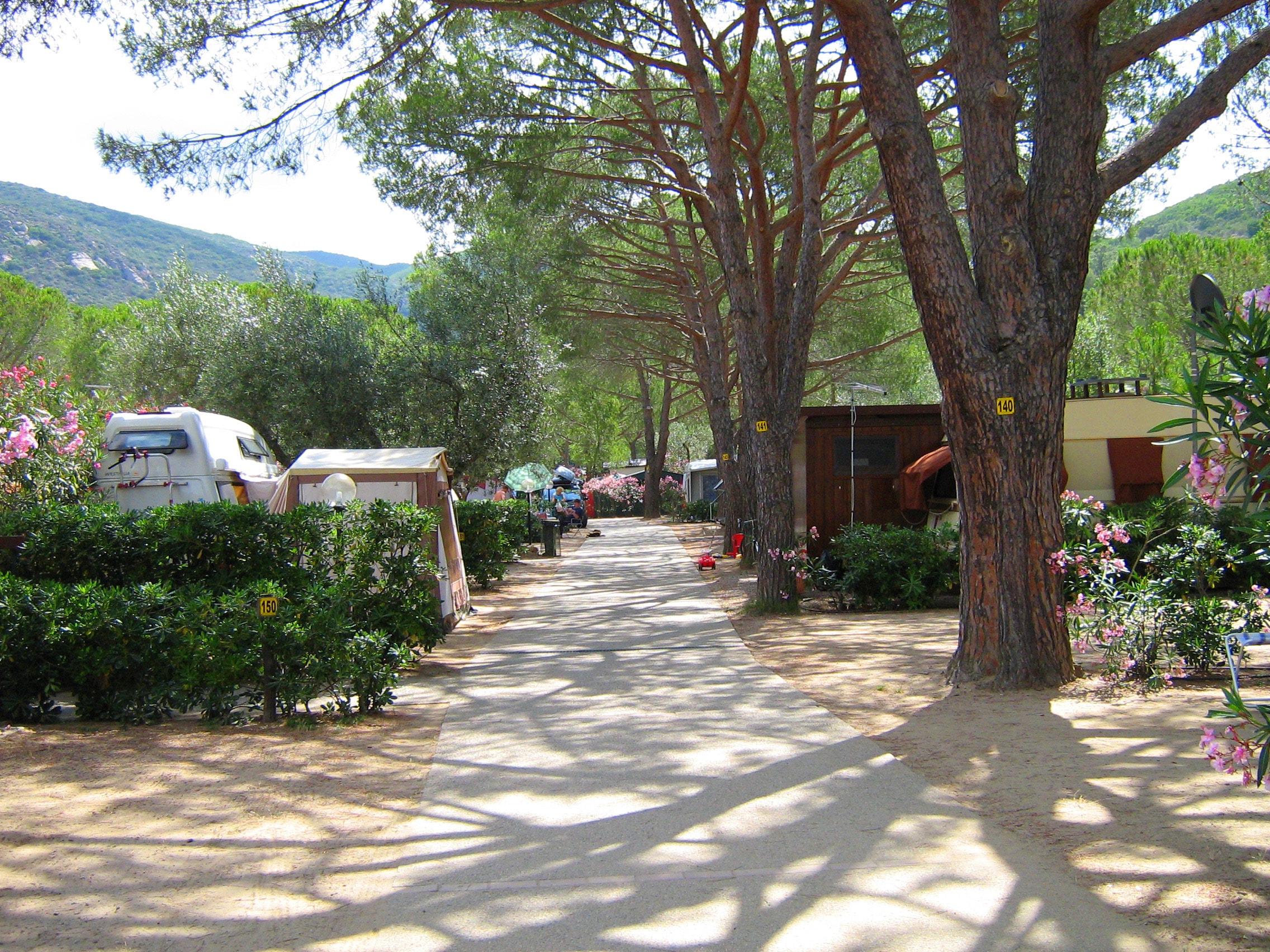 Camping Ville degli Ulivi | ACSI