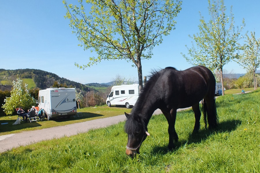 Camping Kirnermartes Hof — 4