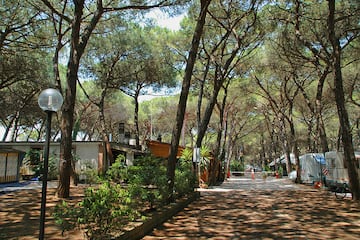 Camping Pionier Etrusco Camping Pionier Etrusco