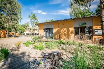 Camping Sopot Park 45