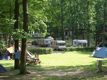 Schwielowsee-Camping LTD Schwielowsee-Camping LTD