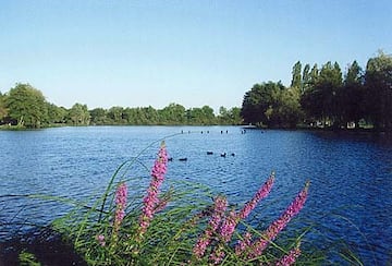 Camping de l'Étang Titard