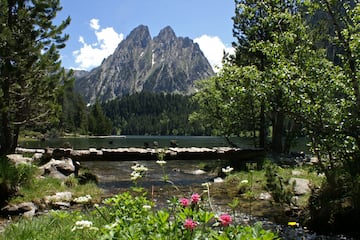 Camping Voraparc - Image 1