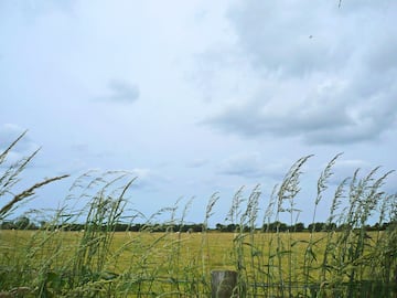 Brynawelon Touring & Camping Park Brynawelon Touring & Camping Park