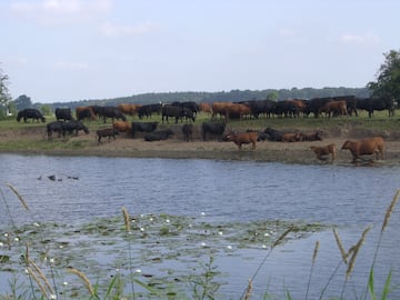 Camping Naturcamping Ahlden