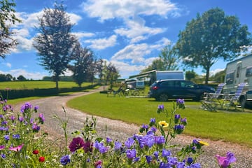 Landschapscamping Alleleijn Landschapscamping Alleleijn