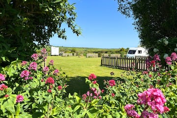 Camping Parkland Camping Parkland