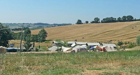 Tenuta Tredici Ulivi Tenuta Tredici Ulivi