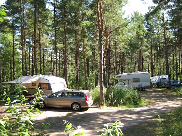 Campsite photo 1