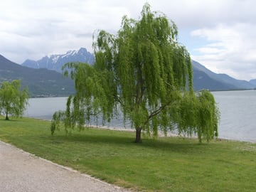 Camping North Wind Camping North Wind