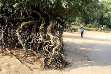 Minicamping tussen de Dijken Minicamping tussen de Dijken