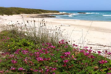 Camping Agriturismo Fontanelle - Image 1