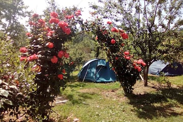 Agricamping Oasi del Belvivere Agricamping Oasi del Belvivere