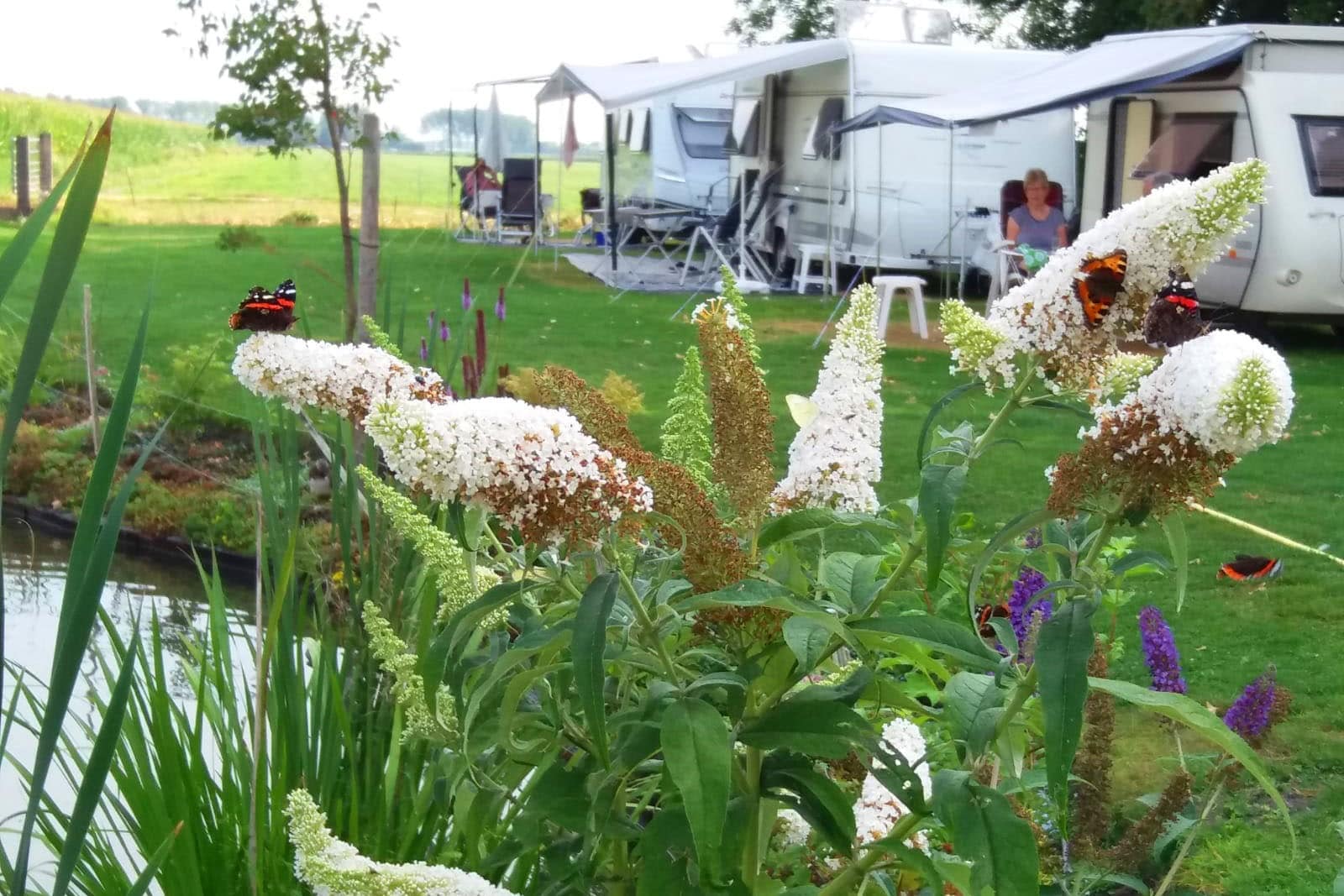 Camping Ter Leede — 4