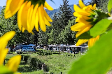 Camping de la Clairette Camping de la Clairette