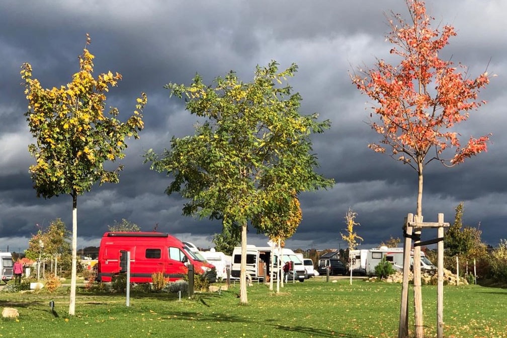wscheleine camping Wscheleine Camping mit Clips geeignet fr jede Reise