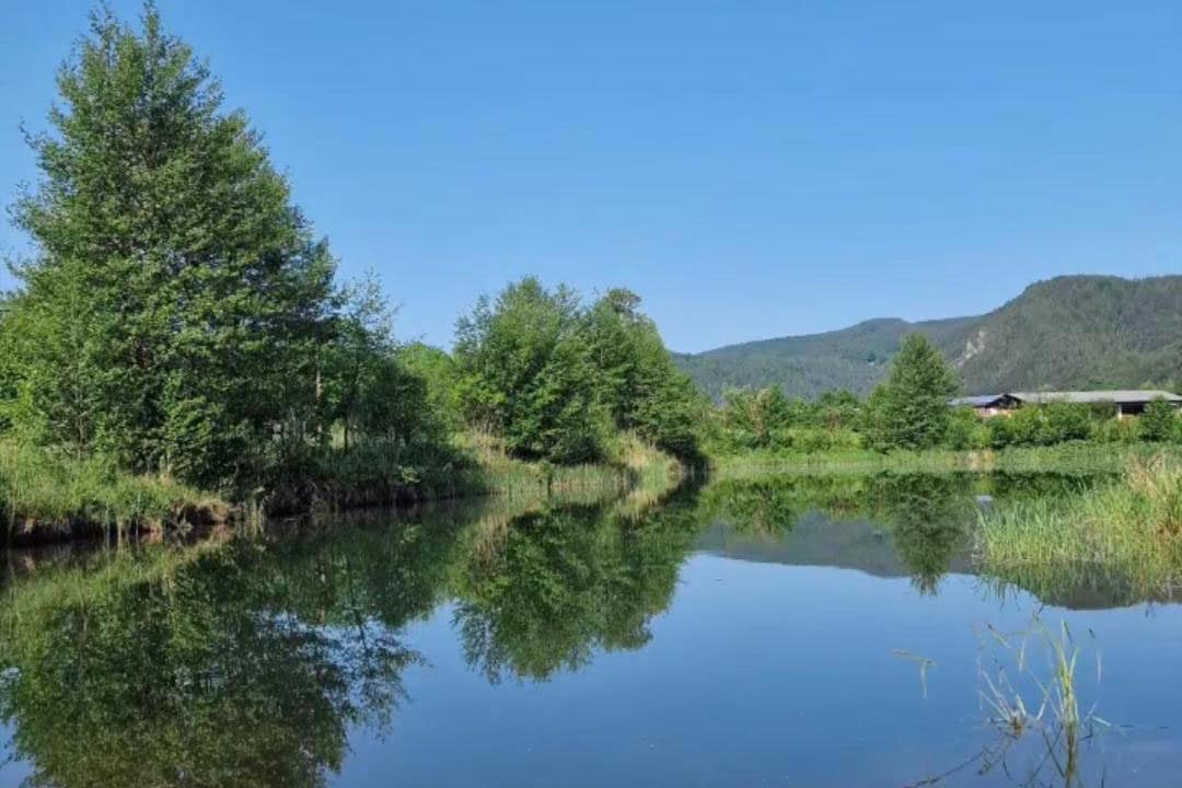 Camping Kohlhofmühl — 4