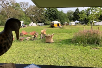 Camping De vreemde eend Camping De vreemde eend