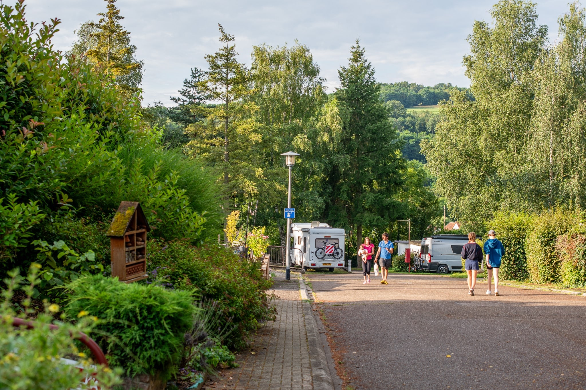 Camping L'Orée d'Alsace Onlycamp — 4