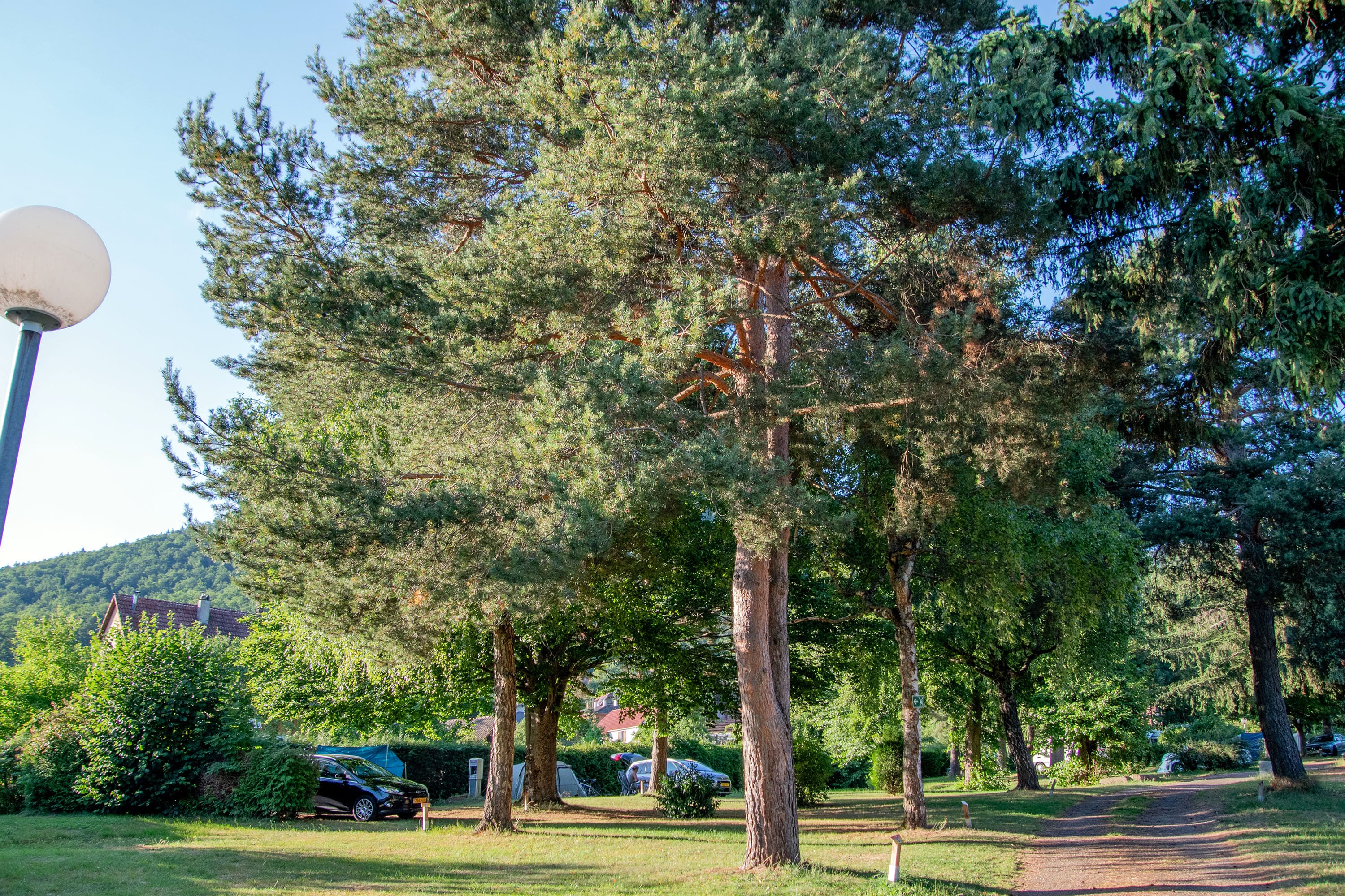 Camping du Haut-Koenigsbourg Onlycamp — 4