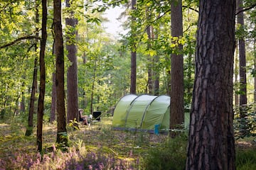 Camping Les Pins Onlycamp - Image 1