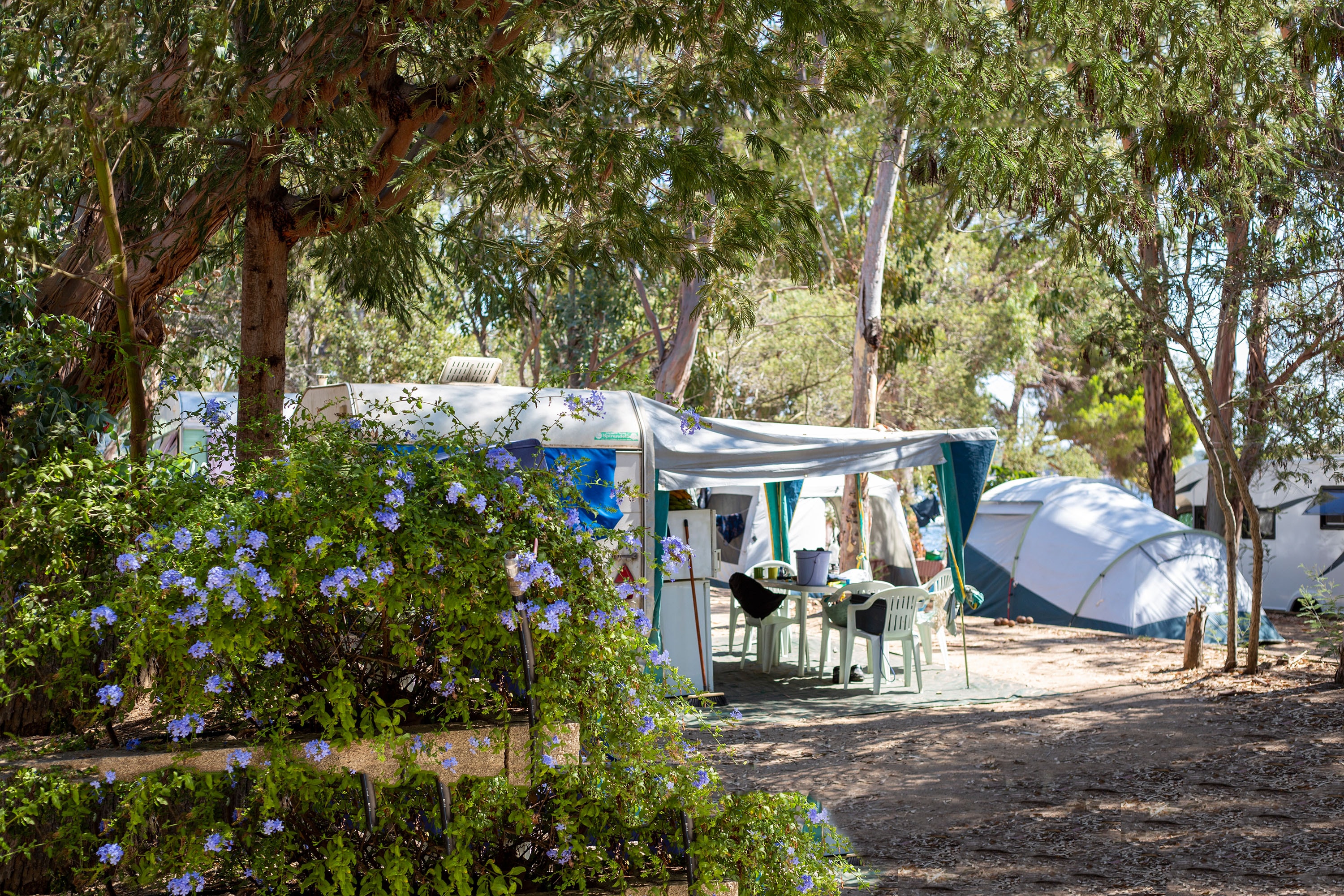 Camping Les Ilots d'Or | ACSI