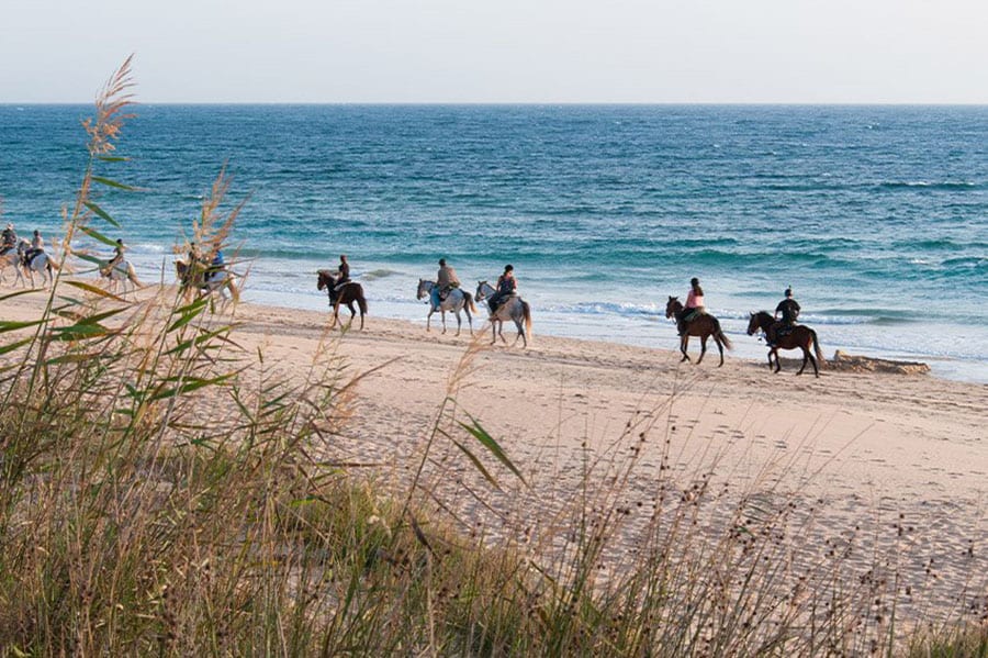 Punta Falconera Camping Village