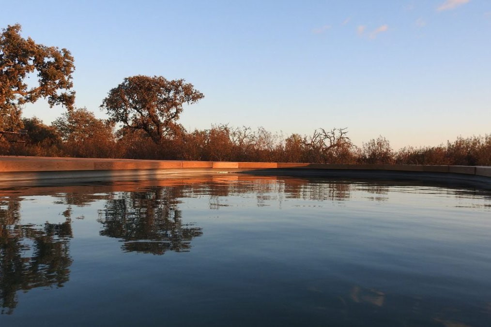 Bubulcus & Bolotas Camping