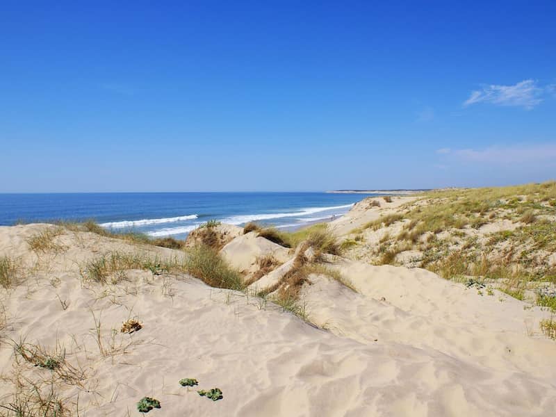 image103439 image103439