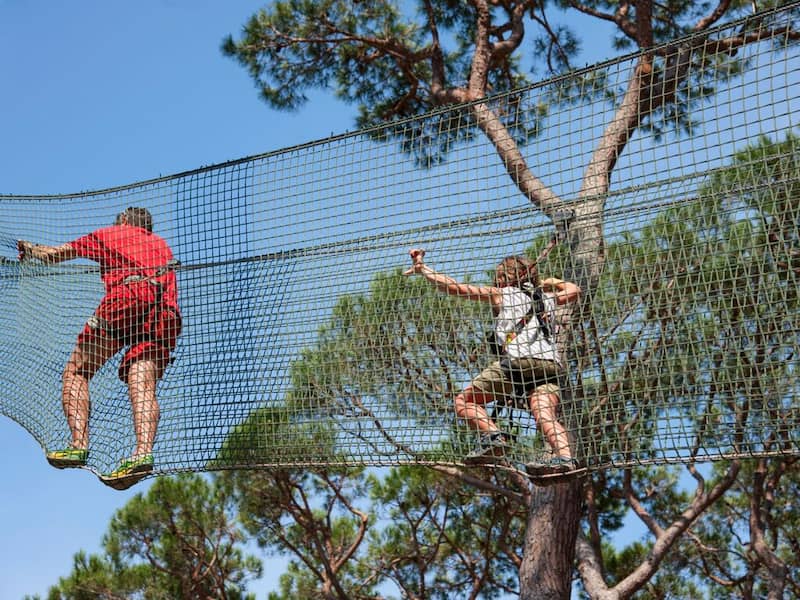 image104790 image104790