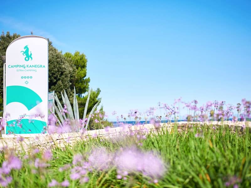 image101018 image101018