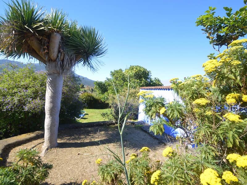 image126353 image126353