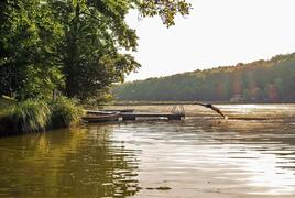 Forest Glamping Resort Blaguš – billede 2