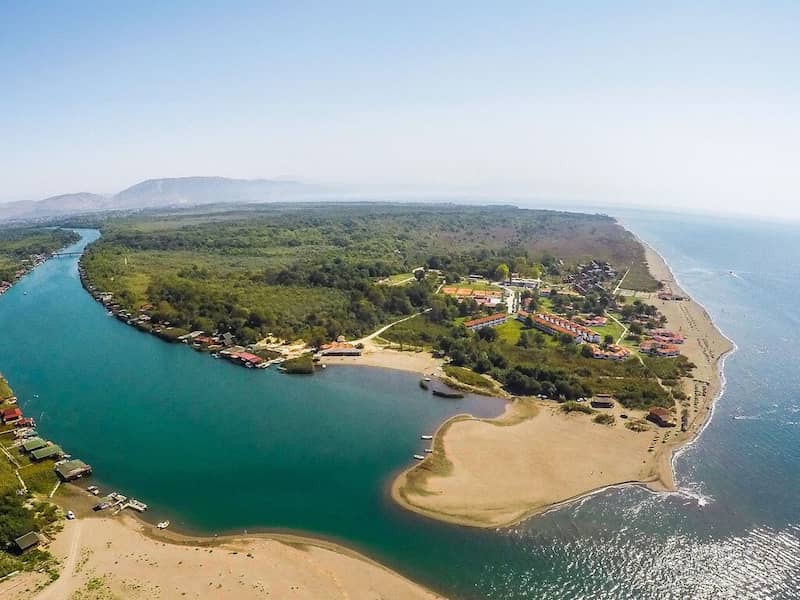 image125666 image125666