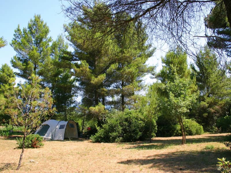 image126028 image126028