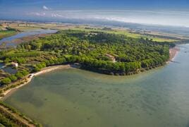 Belvedere Pineta Camping Village – billede 3