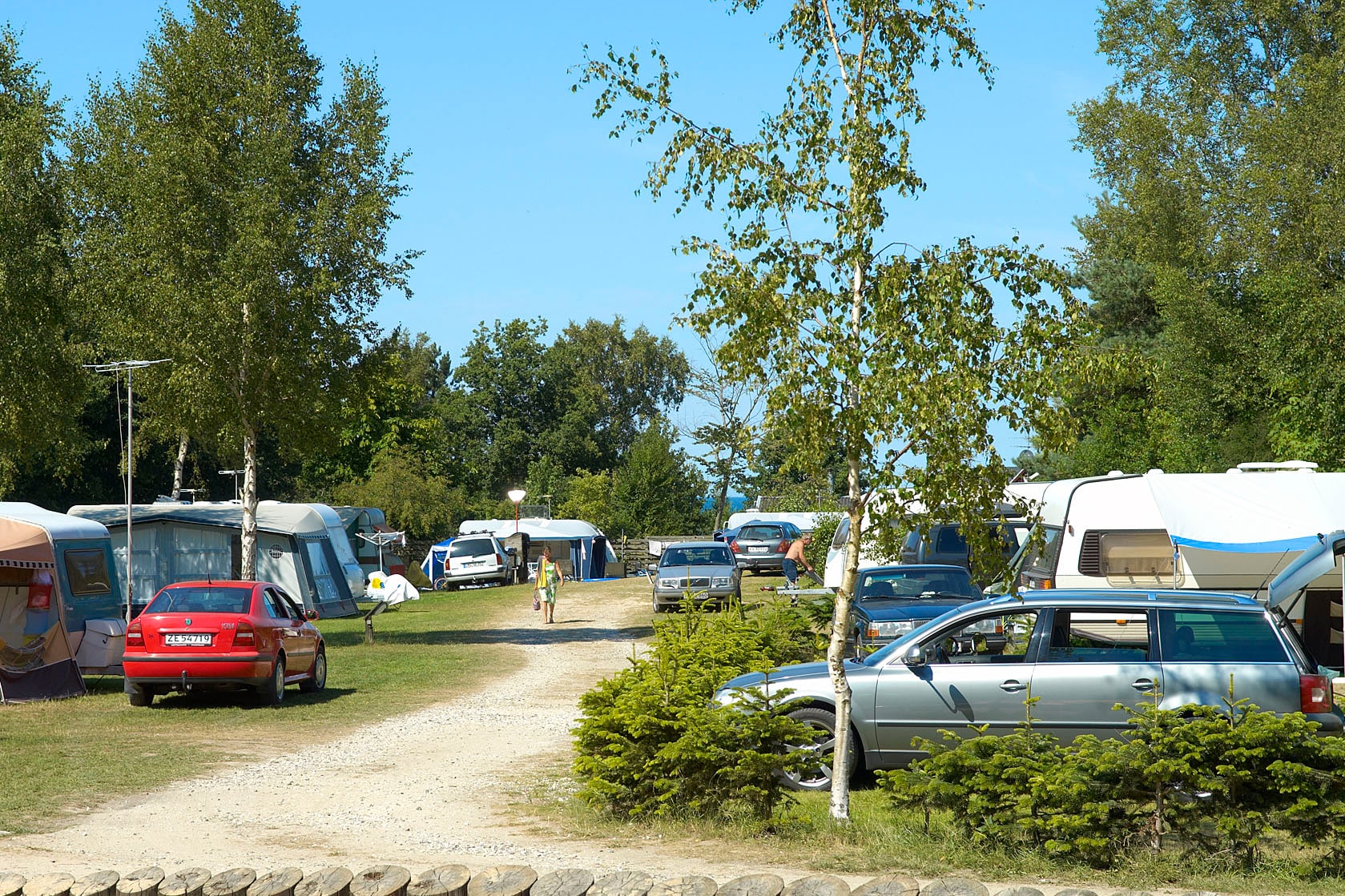 Dalgård Camping — 5