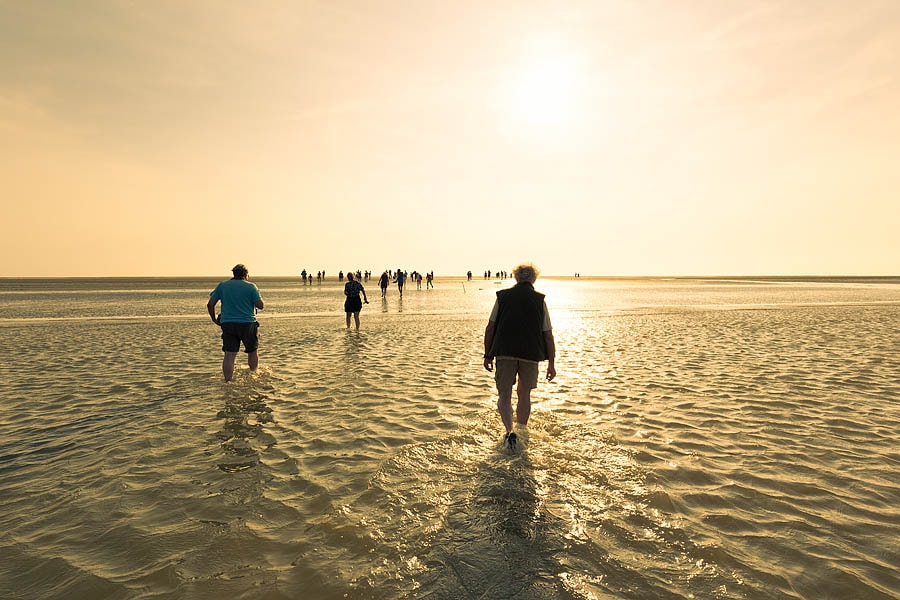 Siblu Camping Lauwersoog — 4
