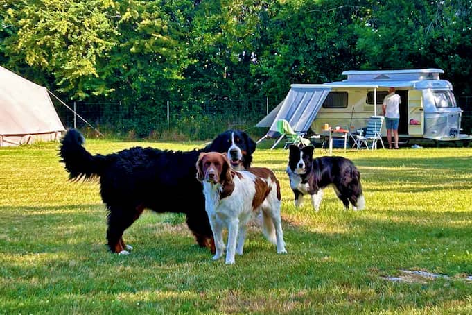 Campsite photo 1