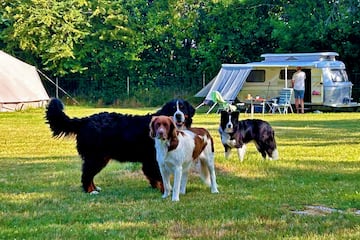 Camping Balzine Camping Balzine