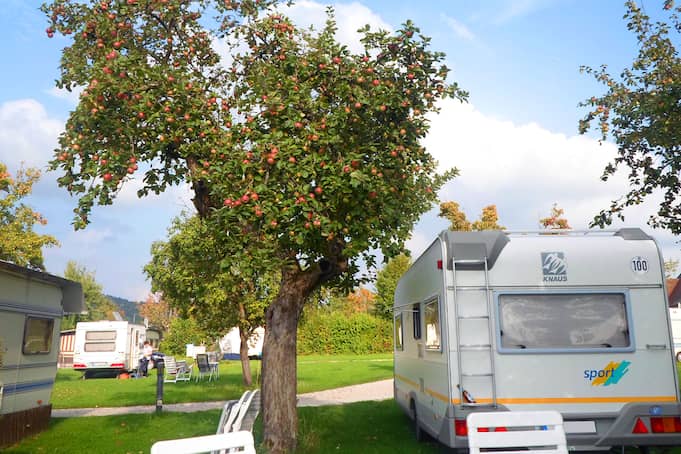 Campsite photo 1